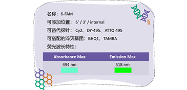 引物修饰忙——修饰基团介绍（荧光探针篇）