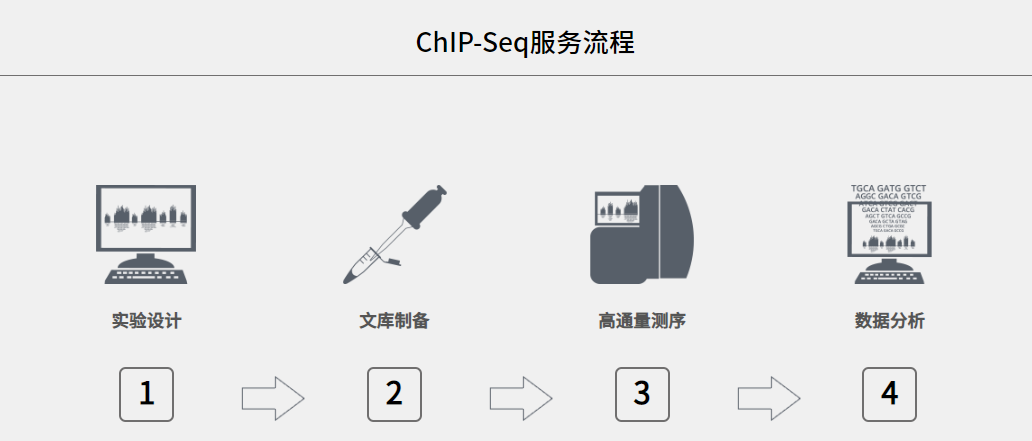 ChIP-Seq服务流程