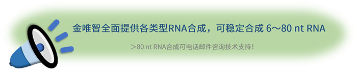 RNA合成