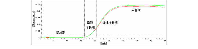 qPCR的原理