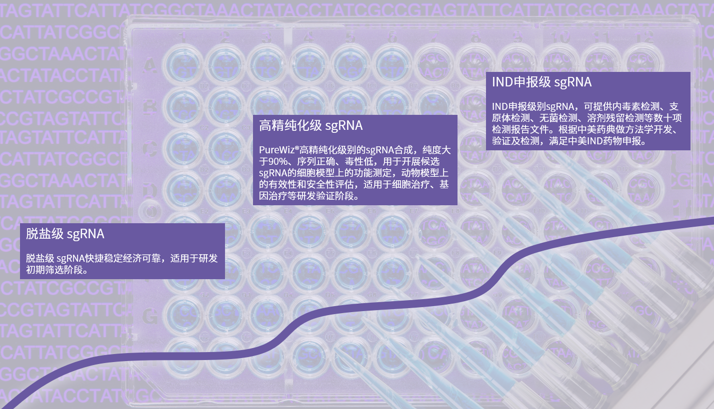 sgRNA_2022-10-12