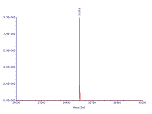 sgRNA_2022101101