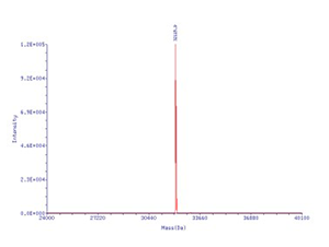 sgRNA_2022101102