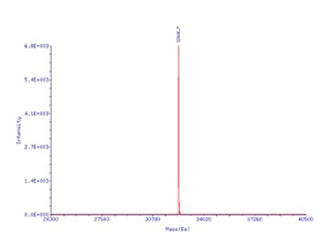 sgRNA_2022101103