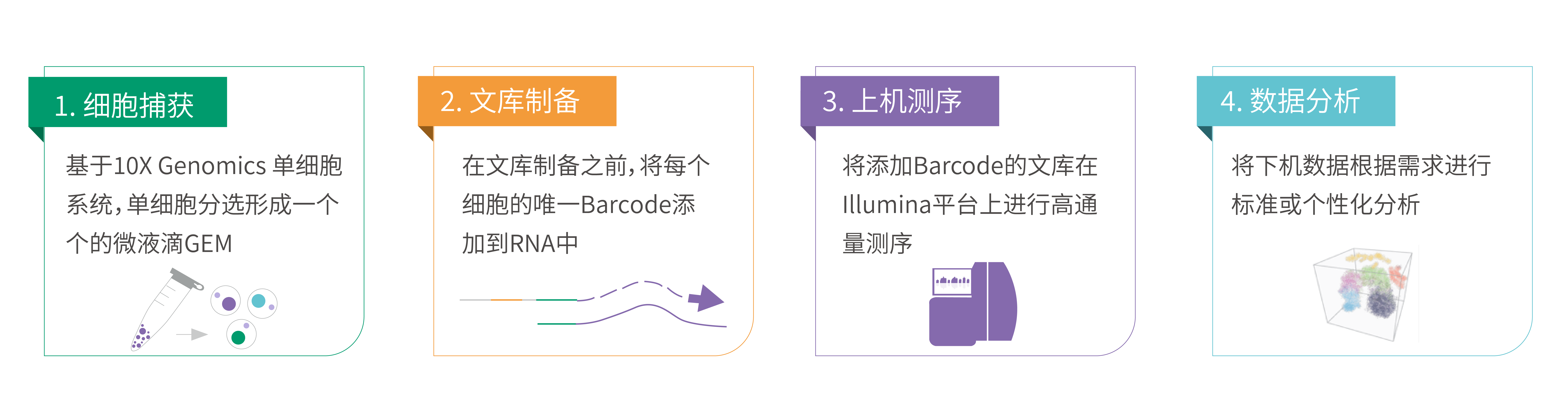 单细胞技术路线