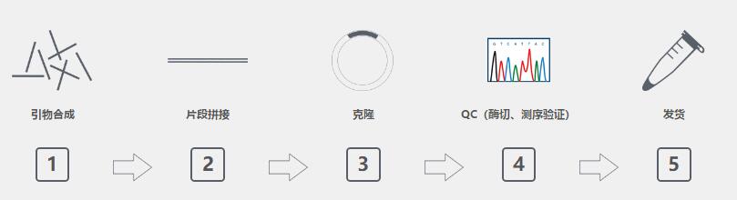外显子组测序