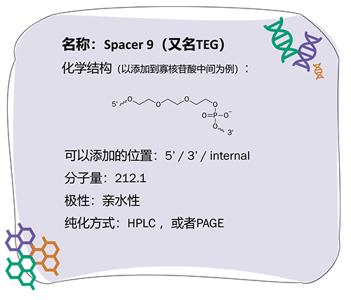 寡核苷酸_2023-1-30-6