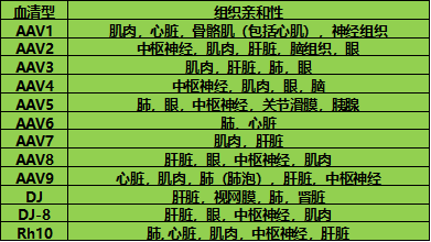微信图片_20190705143812