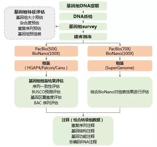 第四届全国玉米生物学学术研讨会_2