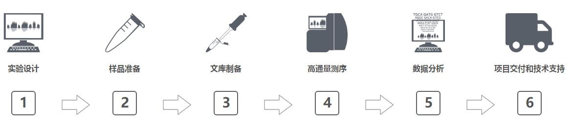 高通量测序步骤流程